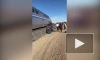 Более 50 человек пострадали при сходе поезда с рельсов в США