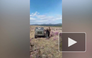 В Бурятии "черные лесорубы" удирали от лесников задним ходом