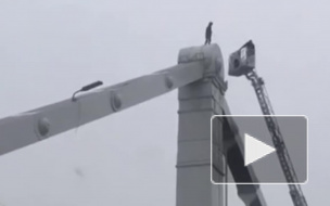 Видео из Москвы: Неадекват забрался на опору Крымского моста