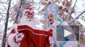 В России предложили выдавать "новогодние визы" иностранцам