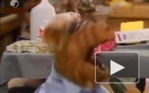 Работа над над ремейком сериала "Альф" приостановлена