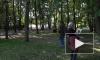 В парке Ленина провели обследование деревьев
