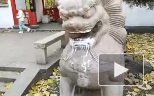 Вандалы облили скульптуры львов в Саду дружбы на Литейном проспекте