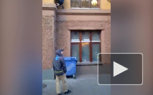 Видео: кота Елисея на Малой Садовой снова ограбили