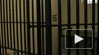 Участники обмена пленными рассказали о пытках СБУ