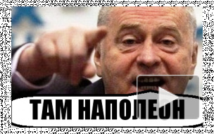 Жириновский рассказал Путину о своем родстве с Наполеоном