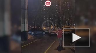 Прокуратура начала проверку после нападения собаки на ребенка в Москве