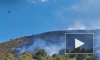 В Каталонии пять человек пострадали в результате лесного пожара