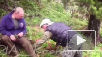 Опубликовано видео отдыха Путина в тайге