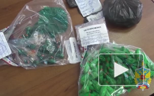 В Егорьевске задержан подозреваемый в сбыте 200 свертков с наркотиками