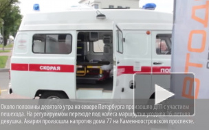 Маршрутка сбила школьницу на переходе Каменноостровского проспекта