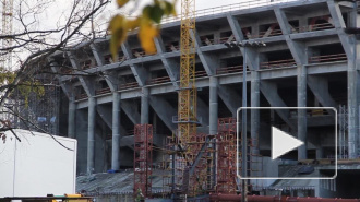 В Сети можно проголосовать за талисман ЧМ по футболу 2018 года