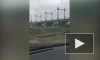 В Петербурге сняли газон после торжественного открытия путепровода
