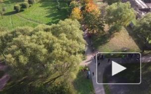 Горожане собрались обнять участок леса у Пулковского парка