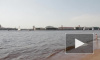 Все водоемы Санкт-Петербурга кишат паразитами и вирусами гепатита А