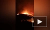 Кипр запросил международную помощь из-за лесного пожара