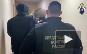 Задержан убийца директора Новомосковского колледжа олимпийского резерва и его адвоката в Тульской области