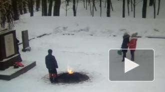 Школьник потушил "Вечный огонь" на мемориале Неизвестному солдату в Петербурге