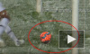 Видео из Германии: Сильный снегопад помешал забить мяч в пустые ворота