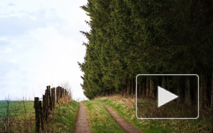 Жуткие новости из Красноярска: старый извращенец попытался изнасиловать 11-летнюю девочку