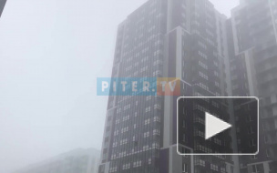 Утром 31 августа Петербург накрыл туман