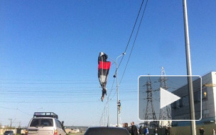 В Петербурге на Суздальском на фонаре повис парашютист 