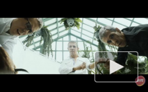 Алексей Панин выпустил дисс на блогера Поперечного (видео)