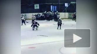 Под Оренбургом 10-летние хоккеисты устроили массовую драку