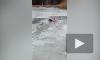 Житель Волгограда спас собаку, которая провалилась под лед