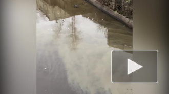 Росприроднадзор проверит реку Охта после сообщений о загрязнении