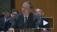 Мексика предложила создать комитет по достижению мира на...