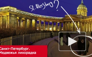 В России распространяют "медвежий вирус"