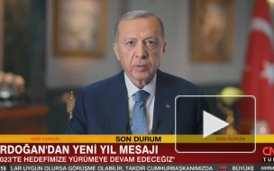 Эрдоган назвал целью Турции стать одним из мировых лидеров в политике и экономике