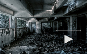 В подвале на Каменноостровском нашли разлагающийся труп с татуировкой дракона