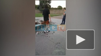 Видео: неадекват осквернил вечный огонь на Марсовом поле