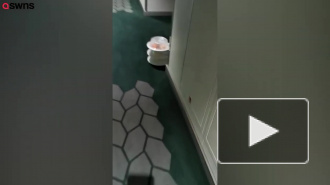 Запертый на роскошном круизном лайнере экипаж показал "атмосферу отчаяния"