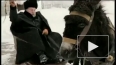 Собчак хочет наказать Жириновского за истязание маленького ...