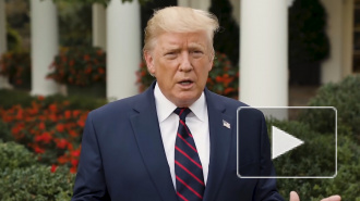 Трамп сегодня опубликует стенограмму первой телефонной беседы с Зеленским