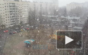 МЧС предупреждает петербуржцев о сильном ветре и снегопаде в субботу