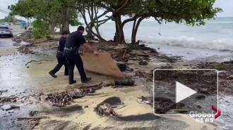 Ураган "Дуглас" ослаб до тропического шторма