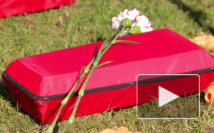 Борцы с абортами пугали петербуржцев детскими гробиками и смертью с косой