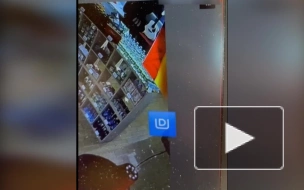 В Пулково пассажир украл из ресторана гитару