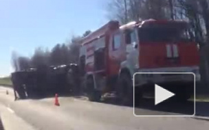 Появилось видео страшного ДТП на Мурманском шоссе: двое погибли