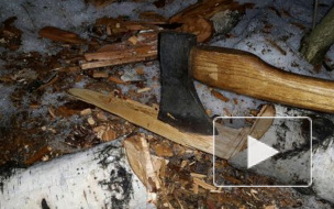 В Архангельской области старушка выполнила последнюю волю супруга – убила его поленом