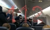 Пассажирка устроила дебош на борту самолета в аэропорту Внуково
