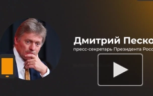 Песков: ситуацией с гибелью военных с позывными Эрнест и Гудвин занимается МО