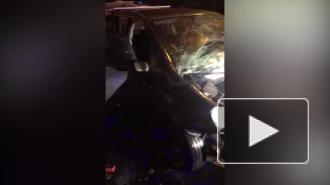 В массовом ДТП под Лугой погиб 61-летний мужчина