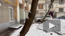 Тела супругов-пенсионеров с ножевыми ранениями нашли в квартире на Ленинском проспекте