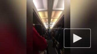 Самолет со 115 пассажирами столкнулся со стаей птиц в Казахстане