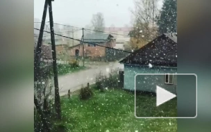 Осенний снег накрыл Петербург и Ленобласть утром 19 октября